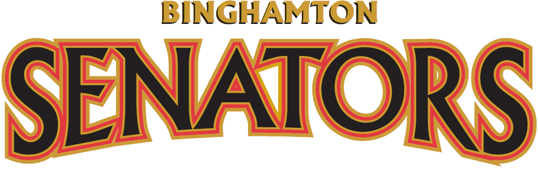 Binghamton Senators 2002 03-Pres Wordmark Logo iron on transfers for clothing